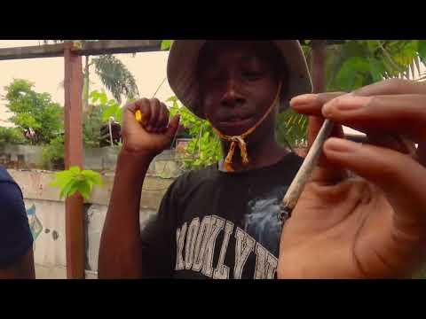 SCEP KENDALLOVIC - BAG A CHAT (OFFICIAL VIDEO)