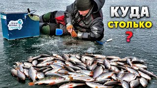 Зимняя рыбалка в сургуте на карте