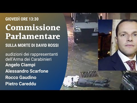 Commissione parlamentare David Rossi: rappresentanti Arma dei Carabinieri