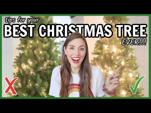 Take Care of Your Christmas Tree With These Useful Tips