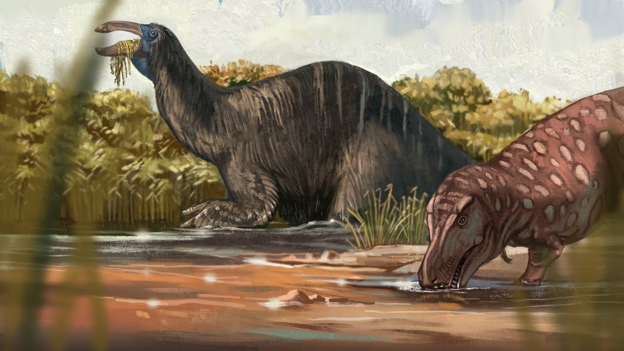 Largest dinosaurs ever (according to Wikipedia) (Part 2): Largest Theropods!