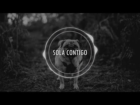 Sad Puppy feat. Peter Shev Sax - Alone With You | Sub Español