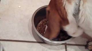 Barni eating her dinner