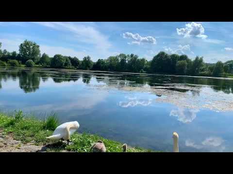 Hohnsensee Hildesheim |  2019 © Flor Studio Photo & Video florandpireci.com