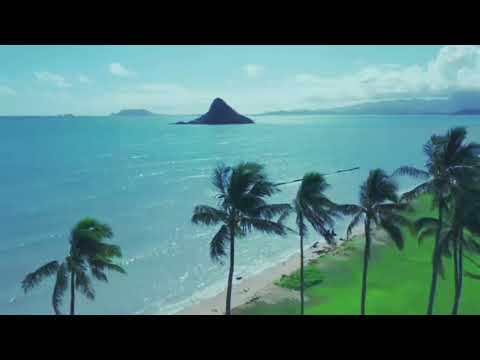 1 HOUR 4K FILM "Splendors of Nature" Planet Earth's Wonders by Drone, Land & Sea - 4K UHD, No Loops