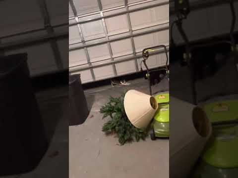 October 12, 2021 - 11:07pm ET