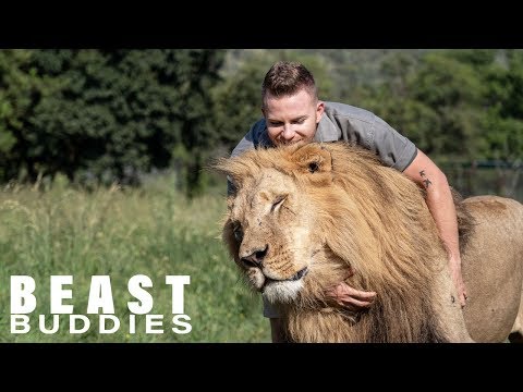 Lion King: 23-Year-Old Is Best Friends With Big Cats | BEAST BUDDIES