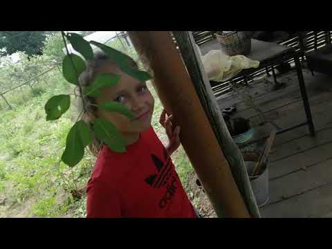 Оса убийца кусает за ухо, я должен выжить