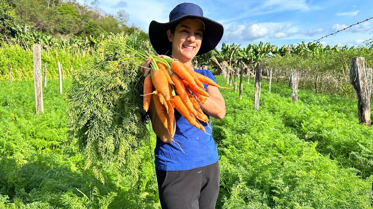 Aproveitei o tempo da Cenoura e trouxe novidade boa para as crianças