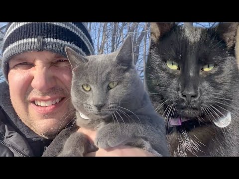 It Was Time...It Had To Be Done - BARN CAT FARM VLOG