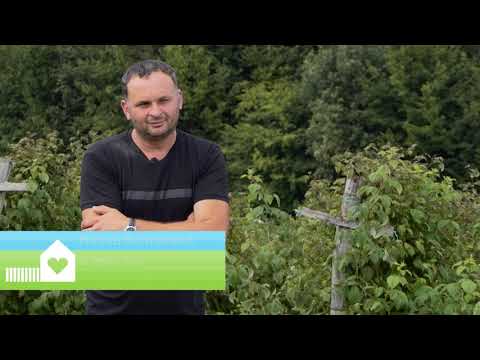 Biram selo 12.08.2020. Milan i Ana Vasiljević, Gubin Do, mlečno govedarstvo