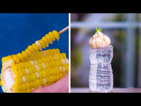 download lagu mp3 mp4 Grow And Blossom, download lagu Grow And Blossom gratis, unduh video klip Grow And Blossom