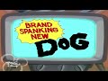 Pluto S Magic Paws