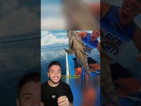 Por que esse homem usou peixes CARISSIMOS pra fazer uma PESCA comum?