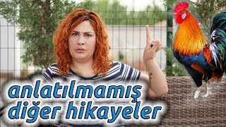 Lise Hakkında Dile Getirilmeyenler #2