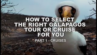 🤔🐢 How to Select the Right Galapagos Tour or Cruise for you - Part 1 - Cruises 🚢