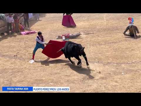 FIESTA TAURINA PUERTO PEREZ PROV. LOS ANDES 2025