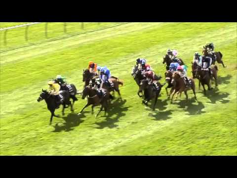 2014 Betfred Sprint Cup - G Force - Racing UK