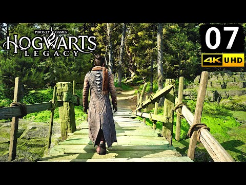 Hogwarts Legacy Gameplay Walkthrough Part 7 - PC 4K 60FPS No Commentary