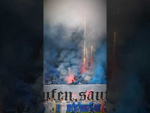 Das bedeutet Karlsruher SC👊💥 #karlsruhersc #karlsruhe #ksc #ultras #fans #2bundesliga #2liga #hertha