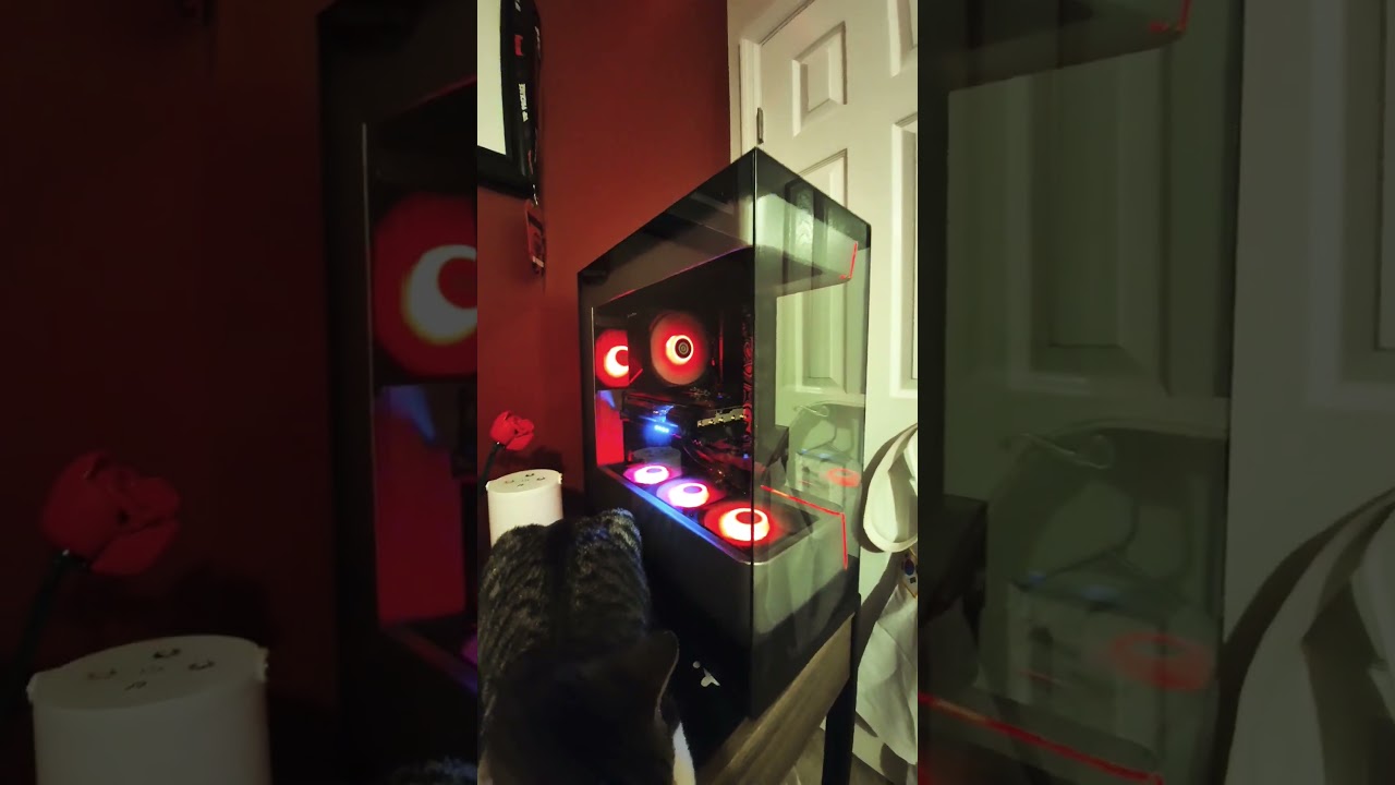 w car 🥹 #cxttyforfingerpainter #pc #gorillatag