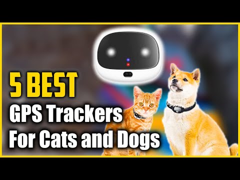 Best GPS Trackers For Cats and Dogs 2021 [Top 5 Picks]