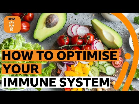 你吃的東西如何影響你的免疫系統 - BBC Ideas (How what you eat affects your immune system | BBC Ideas)