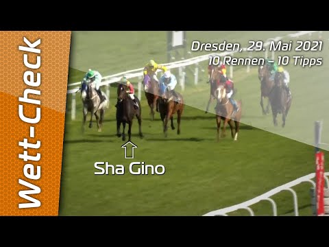 Wett-Check - Dresden 29.5.2021