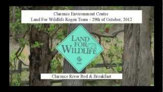 preview picture of video 'Land for Wildlife ~ helping koalas survive in the Clarence Valley'