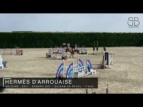 HERMÈS D’ARROUAISE