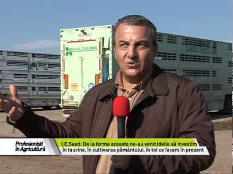 MARIA GROUP - Profesionisti in Agricultura - 08.11.2013