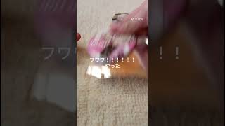 全12種類の缶バッジを開ける！！！#ホロライブ #フワワ・アビスガード#モココ・アビスガード#星街すいせい#獅白ぼたん