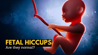Are Fetal Hiccups a Good Sign During Pregnancy? Here