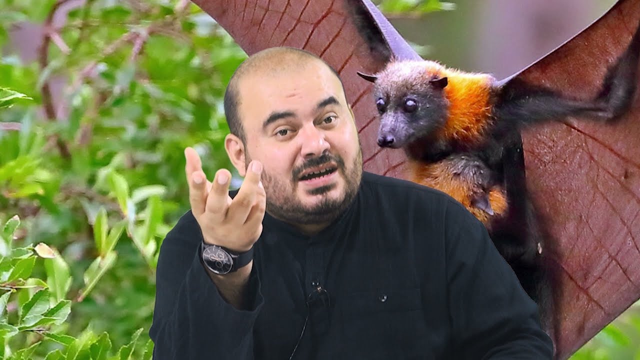 RÜYADA YARASA GÖRMEK Esved Dini Rüya Tabirleri ve Yorumu Rüya Tabiri