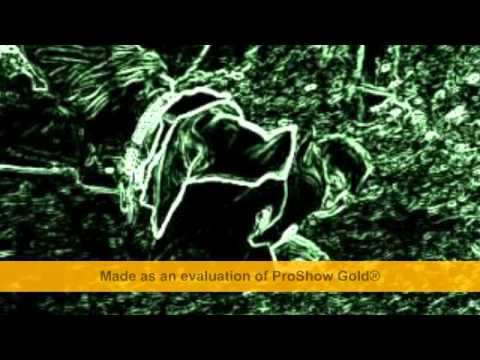 A sangre fria - Enevilla