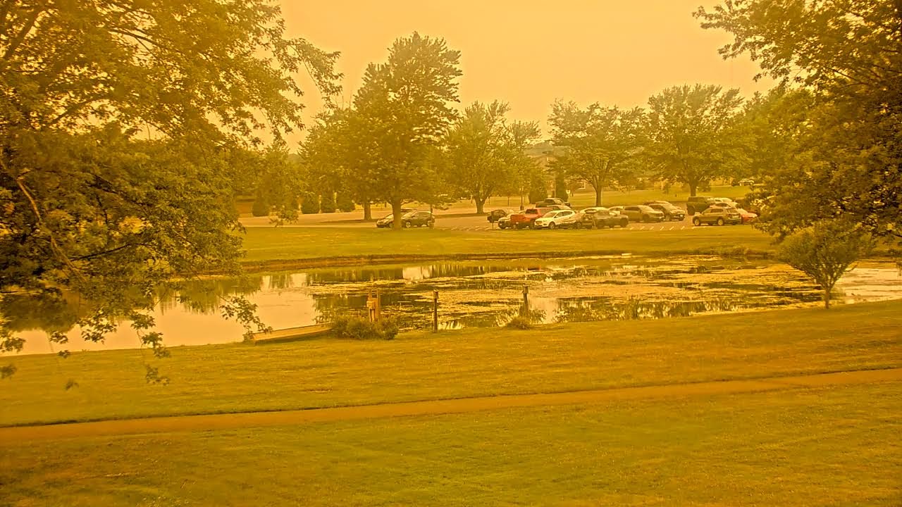 Live webcam view of Northeast College Pond