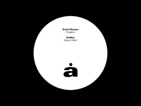 Sunil Sharpe - Funghie [ANA009]