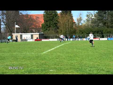 samenvatting-TVO 1 - RKZVC 1 .28-04-2013