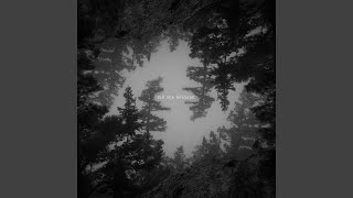 Old Sea Brigade - Love Brought Weight