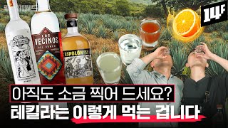 🍸테킬라, 이거랑 먹으면 밤새 먹는다.. 멕시코 술 테킬라와 메즈칼, 100% 제대로 즐기는 법 | 주락이월드 / 14F