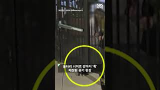 어린 강아지를 울타리 너머 '휙'..영상에 공분 #shorts