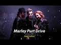 Mayley Purt Drive (Acoustic) - Jive Talkin Bee Gees Tribute Show