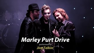 Mayley Purt Drive (Acoustic) - Jive Talkin Bee Gees Tribute Show
