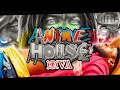 VILLAINS VS GEAR 5 ANIME HOUSE