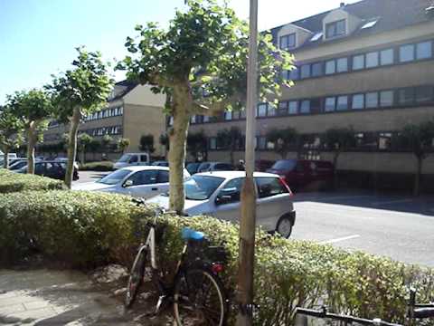 VLOG #6 - Nede med Fakta!