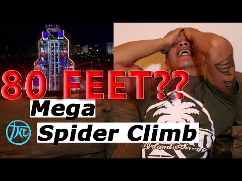 American Ninja Warrior All Stars 2020: Part 4 of 5 - Mega Spider Climb Reaction