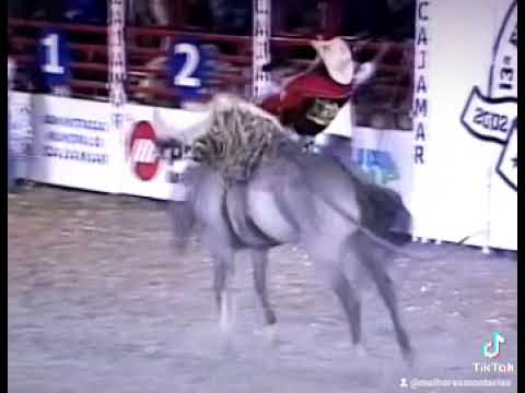 CARLOS ROBERTO MARIANO (SABARÁ) RODEIO DE CAJAMAR 2002