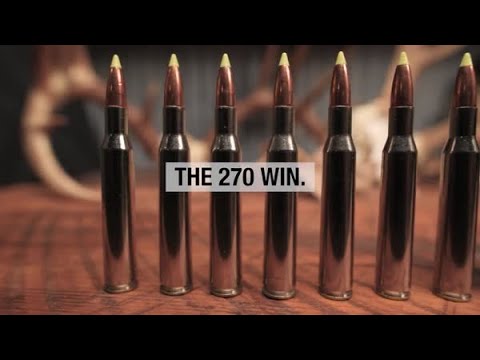 WARP SPEED!! 270 Winchester Federal PowerShok 130gr Ammo Test