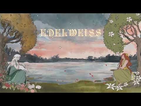 Edward Ikor | EDƎLWEISS