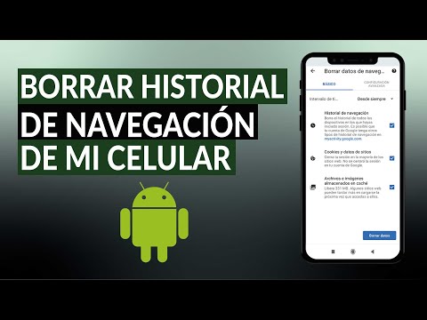 How to Delete Browsing History on My Android Phone - Very Easy